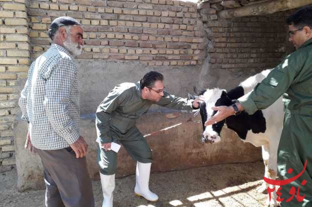 رزمایش قرارگاه محرومیت زدایی جهاد دامپزشکی روستاهای محروم استان همدان